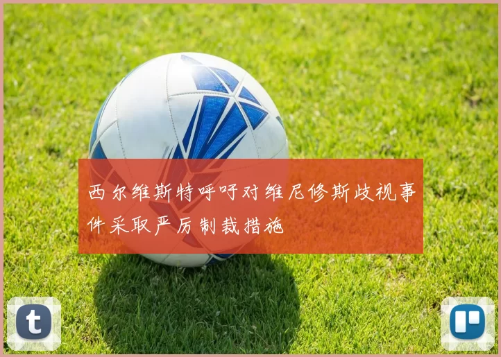 西尔维斯特呼吁对维尼修斯歧视事件采取严厉制裁措施